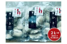 牡蠣　広島　むき身冷凍牡蠣　2Lサイズ　300g×3袋　矢野水産