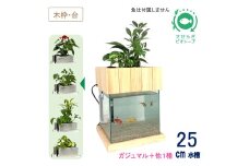 せせらぎビオトープ　25cm型基本+木枠台セット（ガジュマル＋他1種）
