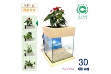 せせらぎビオトープ　30cm型照明+木枠台セット（アンスリウム）