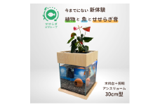 せせらぎビオトープ　30cm型照明+木枠台セット（アンスリウム）