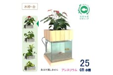 せせらぎビオトープ　25cm型基本+木枠台セット（アンスリウム）