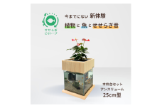 せせらぎビオトープ　25cm型基本+木枠台セット（アンスリウム）
