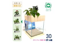 せせらぎビオトープ　30cm型照明+木枠台セット（ガジュマル＋他1種）