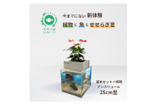 せせらぎビオトープ　25cm型基本+照明セット（アンスリウム）