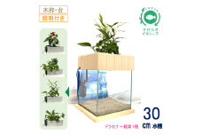 せせらぎビオトープ　30cm型照明+木枠台セット（ドラセナ＋他1種）