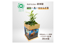 せせらぎビオトープ　30cm型照明+木枠台セット（ドラセナ＋他1種）