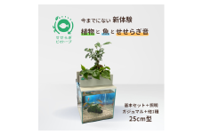 せせらぎビオトープ　25cm型基本+照明セット（ガジュマル＋他1種）