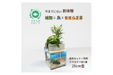 せせらぎビオトープ　25cm型基本+照明セット（ドラセナ＋他1種）