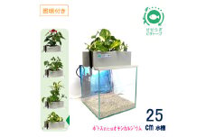 せせらぎビオトープ　25cm型基本+照明セット（ポトスorオキシカルジウム）