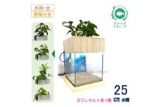 せせらぎビオトープ　25cm型照明+木枠台セット（ガジュマル＋他1種）
