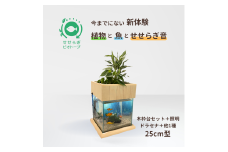 せせらぎビオトープ　25cm型照明+木枠台セット（ドラセナ＋他1種）