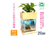 せせらぎビオトープ　20cm型基本照明＋木枠台セット