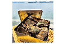 広島　安芸津産　殻付き牡蠣　カンカン焼き　約15～20個【配送不可：離島】
