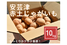 【予約商品】安芸津　赤土じゃがいも　10kg【配送時期:6月上旬～8月上旬/11月下旬～1月上旬】