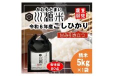 川源米　令和6年産こしひかり　出荷直前精米　5kg
