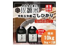 川源米　令和6年産こしひかり　直前精米　10kg(5kg×2袋)