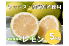 ワックス・防腐剤不使用の皮ごと使えるレモン5㎏【配送時期：9月上旬～4月下旬】