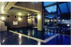 [№5895-0188]天然ラドン温泉『岩戸屋』入湯ご招待券 11枚 セット