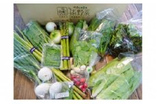 [№5895-0194]安芸高田市の小さな農家お届けするふるさと旬野菜セット