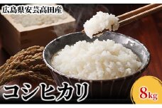 [№5895-0197]米 令和6年産　広島県安芸高田市産コシヒカリ 8kg (4kg×2袋)