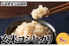 [№5895-0254]米 令和6年産　安芸高田市産コシヒカリ『玄米』 8kg (4kg×2袋)