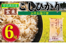 [№5895-0256]米 【3ヶ月お届け】令和5年産　安芸高田市産コシヒカリ『玄米』6kg