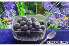 [№5895-0308]タカトーファーム　冷凍ブルーベリー　サイズL　1kg