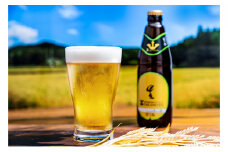 [№5895-0349]ホワイトビール「TAKAMOTO」