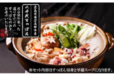 [№5895-0428]八千代すっぽん鍋セット（2～3人前×3セット）