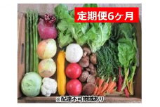 [№5895-0455]旬の野菜・定期便（6か月）【配達不可：北海道・沖縄・離島】