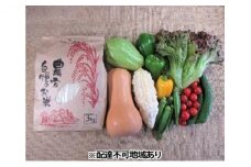 [№5895-0457]旬の野菜とお米のセット【配達不可：北海道・沖縄・離島】