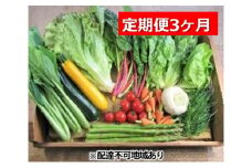[№5895-0456]旬の野菜・定期便（3か月）【配達不可：北海道・沖縄・離島】