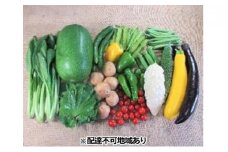 [№5895-0458]旬の野菜【L】セット【配達不可：北海道・沖縄・離島】