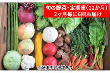 [№5895-0496]【2ヶ月毎に6回お届け】 旬の野菜・定期便（12か月）