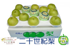 [№5895-0519]●先行予約●安芸高田市【かしもと農園】二十世紀梨 5kg