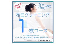 [№5895-0589]ふとんクリーニング 1枚 （羽毛限定）