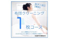 [№5895-0590]ふとんクリーニング 1枚 （なんでもOK）
