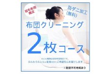 [№5895-0591]ふとんクリーニング 2枚 （羽毛限定）