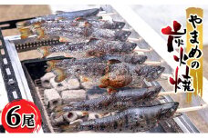 [№5895-0624]安芸高田 滝ヶ谷 やまめの炭火焼（6尾入り） 急速冷凍 魚 川魚 おかず つまみ