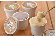 [№5895-0740]縄文あいす 20個 セット アイス アイスクリーム 広島 安芸高田市