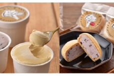 [№5895-0743]縄文あいす 8個 & 縄文あいすもなか 12個 セット アイス アイスクリーム 最中 広島 安芸高田市
