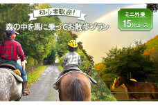[№5895-0761]初心者歓迎 森の中を馬に乗ってお散歩プラン(15分)  ミニ外乗 体験 広島 安芸高田市 エオの谷