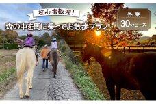[№5895-0762]初心者歓迎 森の中を馬に乗ってお散歩プラン(30分)  外乗 体験 広島 安芸高田市 エオの谷