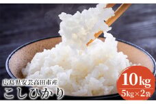 [№5895-0333]米 令和7年産 こしひかり 真空パック 10kg（5kg×2袋）2025年 広島県安芸高田市産 白米 お米 コシヒカリ 