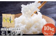 [№5895-0333]米 令和7年産 こしひかり 真空パック 10kg（5kg×2袋）2025年 広島県安芸高田市産 白米 お米 コシヒカリ 