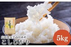 [№5895-0819]米 令和7年産 こしひかり 5kg 2025年 広島県安芸高田市産 白米 お米 コシヒカリ