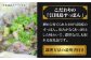 コラーゲン、アミノ酸、鉄、亜鉛などを豊富に含んだ江田島すっぽん