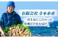 牡蠣 生食 むき身 殻付き かき カキ 生牡蠣 広島牡蠣 オイスター カキフライ 魚介類 貝類 海鮮 広島県産 国産 産地直送