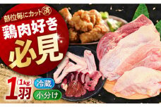 【 高級 地鶏 】瀬戸内育ち 地鶏 一黒シャモ一羽 パック(合計約1kg) 鶏肉 精肉 鳥肉 とり肉 とりにく チキン 鳥 もも むね モモ ムネ もも肉 むね肉 若鶏 名古屋コーチン 地鶏 地鶏肉 小分け パック 便利 冷蔵 焼き鳥 からあげ カラアゲ 唐揚げ ステーキ チキンステーキ BBQ バーベキュー 人気 高品質 好評 広島県産 江田島市/ポーク＆チキン江田島[XAH003]
