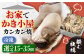 牡蠣 生食 むき身 殻付き かき カキ 生牡蠣 広島牡蠣 オイスター カキフライ 魚介類 貝類 海鮮 広島県産 国産 産地直送